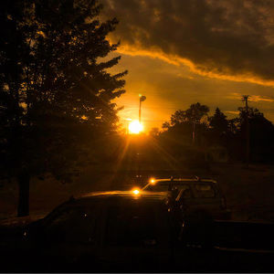 Meet your Posher, Abigail